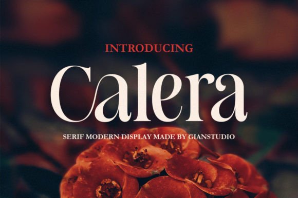 Calera Serif: A Designer’s Practical Review