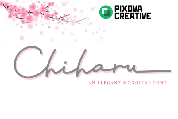 Chiharu Font Review for Modern Campaigns