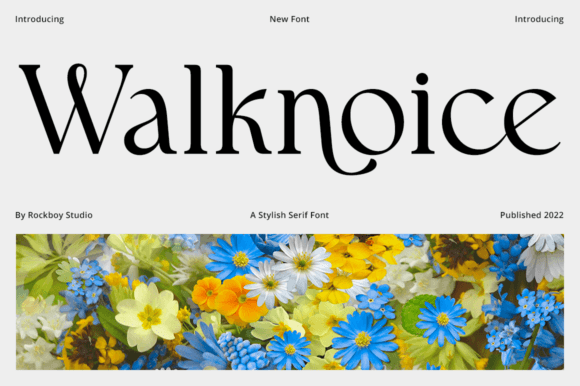 Walknoice: A Refined Serif Font for Modern Brands